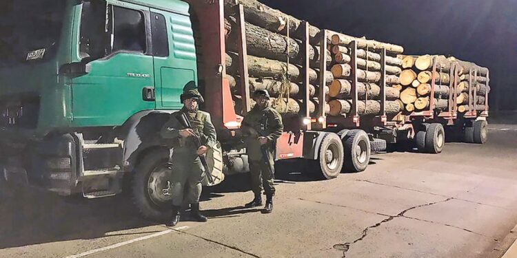45 empresas forestales demandan al Estado por 78 ataques en la macrozona sur