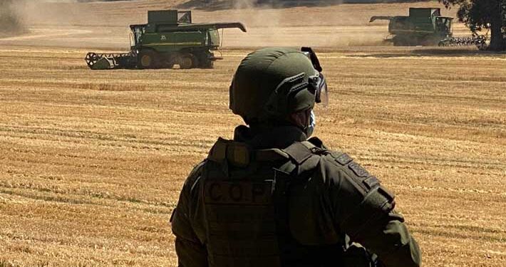 Pese al estado de excepción, en 51% aumentaron hechos violentos en la provincia de Malleco