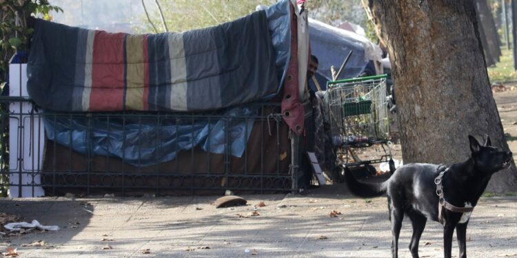 Cuatro de cada diez personas en situación de calle son mayores de 50 años