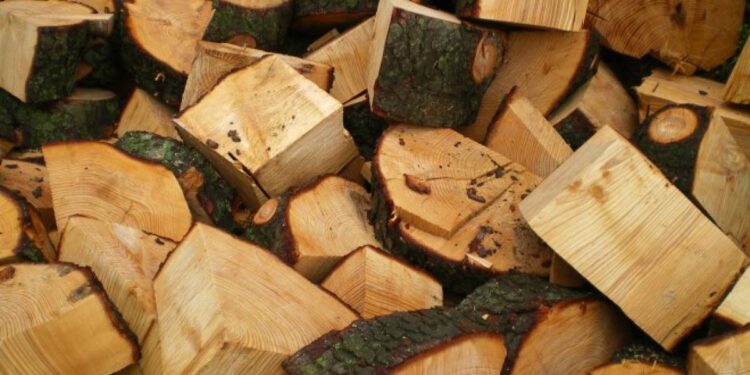Alcaldes de la provincia de Osorno conocieron programa “Ta buena tu leña seca”