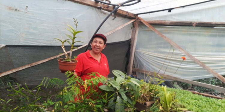 Osorno: Feria “Expo fuerza de mujer rural” ofrecerá productos del campo 