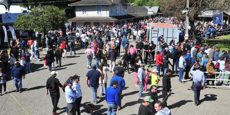 Osorno: Más de 30 mil personas asistieron a Sago Fisur 2022