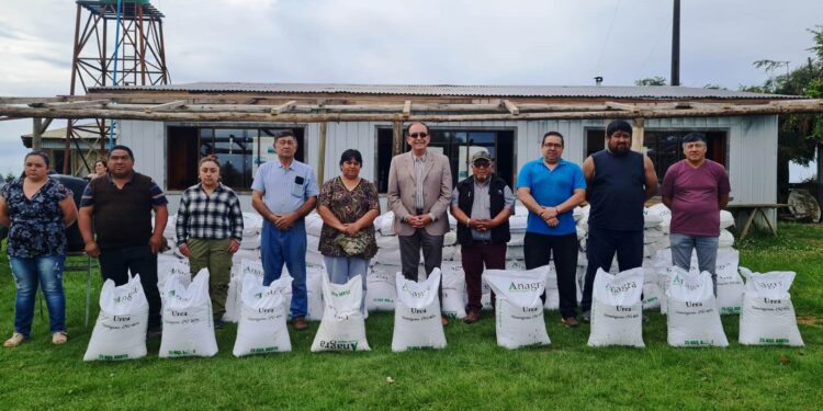 Pequeños agricultores de Osorno recibieron sacos de fertilizantes
