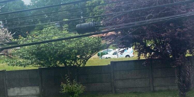 Encuentran sin vida a hombre en sector oriente de Osorno