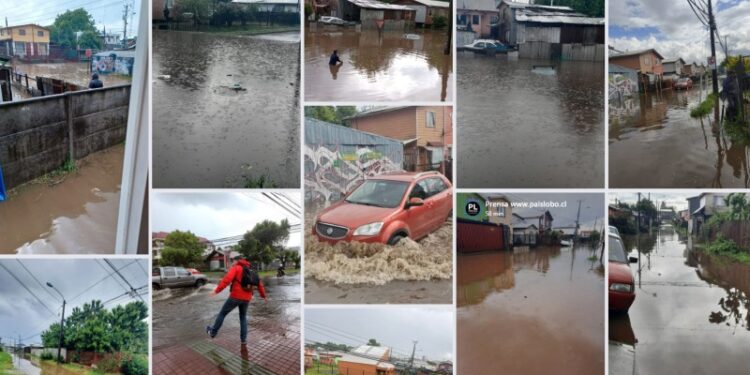 Lluvias en la provincia de Osorno dejaron calles anegadas y situaciones aisladas