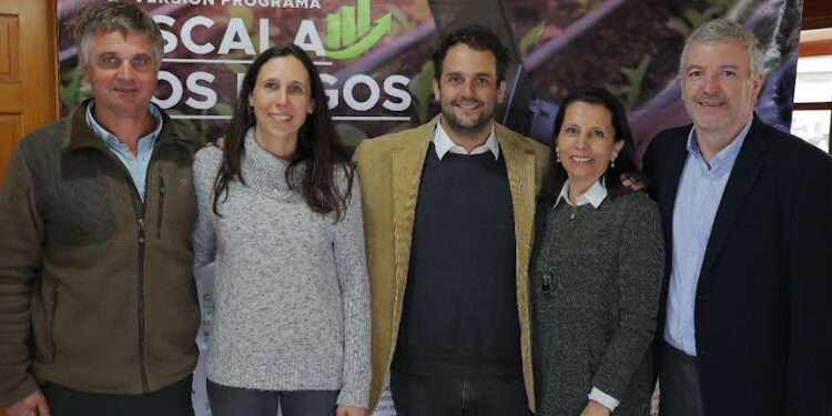 10 emprendedores de Osorno fueron seleccionados en programa Escala Los Lagos