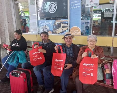 “Fin de Año Seguro”: Fiscalizan transporte interurbano en Osorno