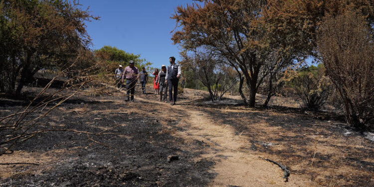 Indap entrega recomendaciones para evitar incendios forestales&nbsp;