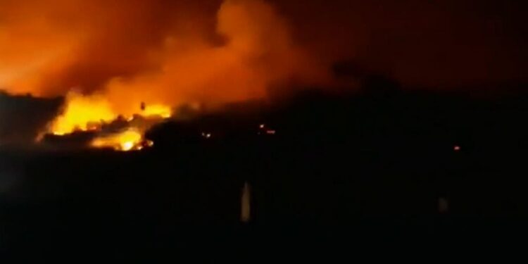 Onemi evacuó sector Los Guindos de Valdivia por incendio forestal