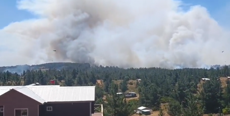 Onemi solicitó evacuar sectores en región del Biobío por incendio forestal