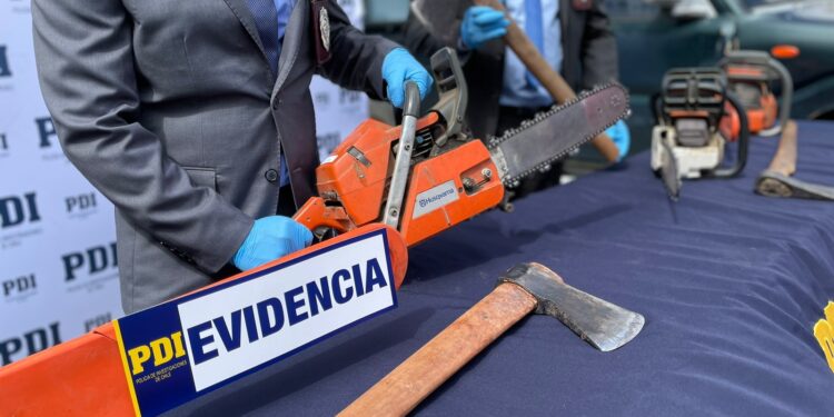 Detienen a 10 personas por robo de madera en San Juan de la Costa