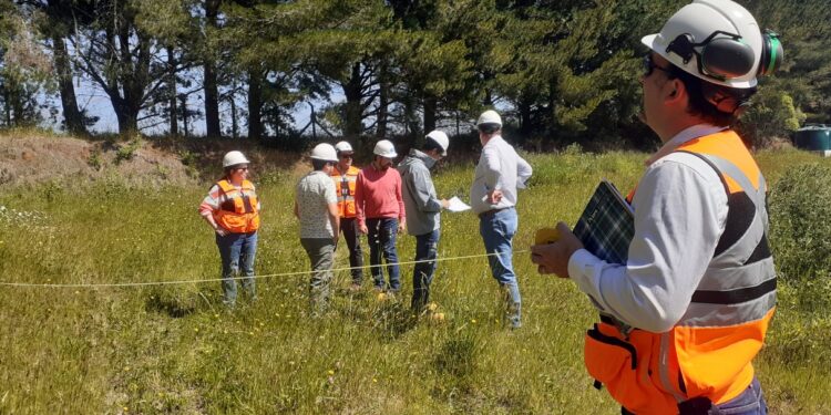 Proyecto estudiará humedales construidos como depuradores de aguas mixtas 