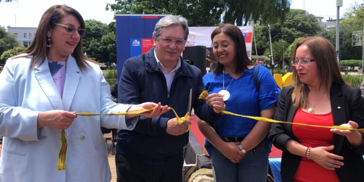 Inauguran 8va expo de artesanía en plaza de Armas en Osorno