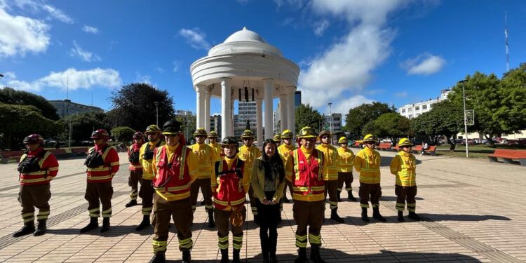 Conaf llamó a prevenir incendios forestales: van 6 en la provincia de Osorno 