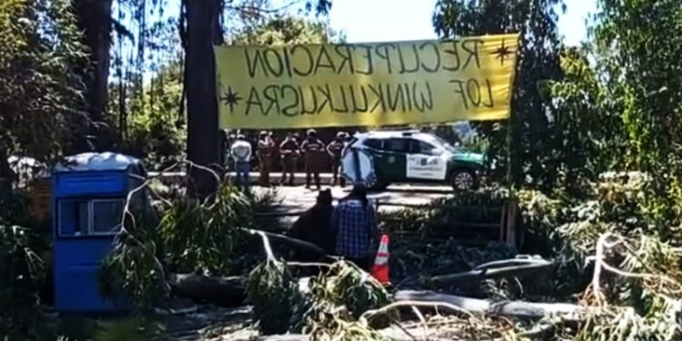 Carabinero resultó herido a bala tras desalojo en San Juan de la Costa