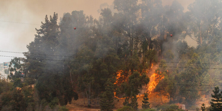 Conaf acusó falta de mantención en tendido eléctrico como posible causa de incendios forestales