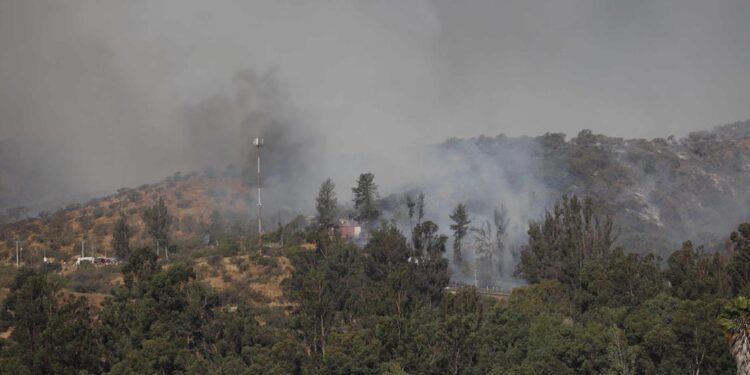 Balance de Onemi: Hay 18 incendios forestales en combate