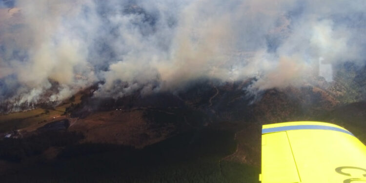 Declaran alerta roja en Lumaco por incendio forestal