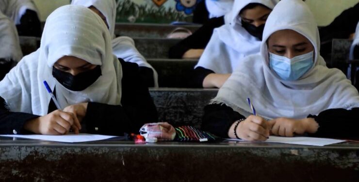 Afganistán: Talibanes prohíben la educación universitaria para las mujeres