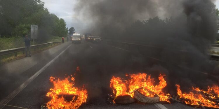 Asistentes de la educación se manifestaron en ruta 5 cerca de Frutillar