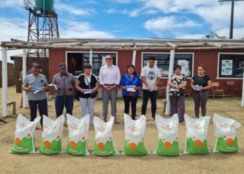 Más de 700 familias rurales en Osorno recibieron alimentos para sus animales