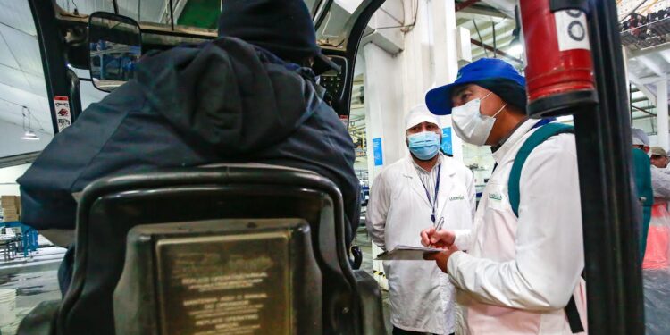 DT Los Lagos realizó 19 fiscalizaciones al trabajo agrícola de temporada