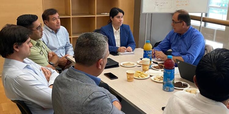 Provincial Osorno se prepara para vuelta al profesionalismo