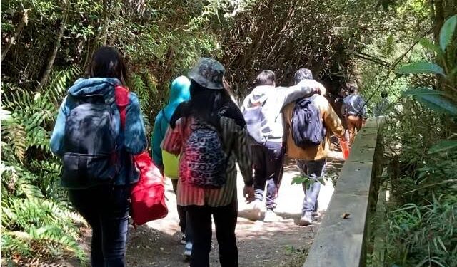 Jóvenes del Servicio Mejor Niñez visitaron parque nacional Puyehue