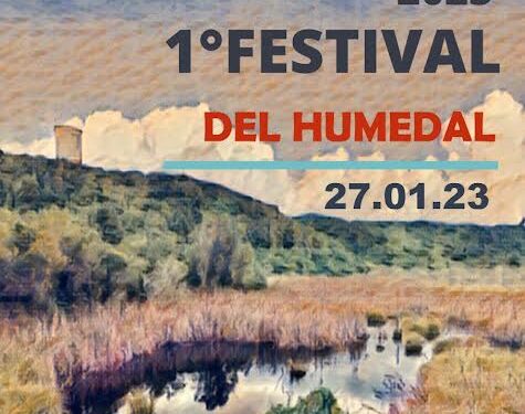 Festival del humedal se realizará en Puerto Octay