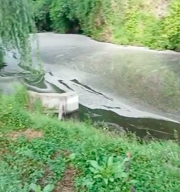 Red ambiental de Osorno participó en reunión por contaminación de río Chifín