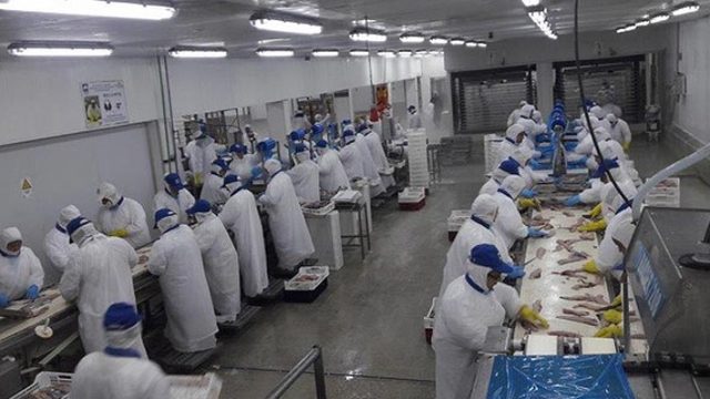 Envíos de salmón y truchas suben 27% en 2022 y llegan a US$6.600 mills