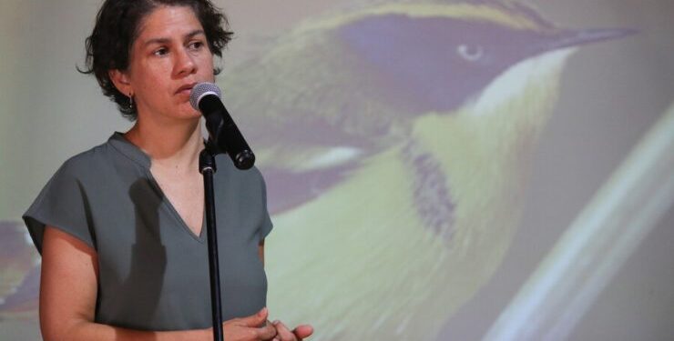 Proyecto Dominga: Presentan recurso para inhabilitar a la ministra Rojas