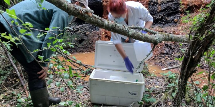 SMA acudió a Chifín para verificar estado de la contaminación del río