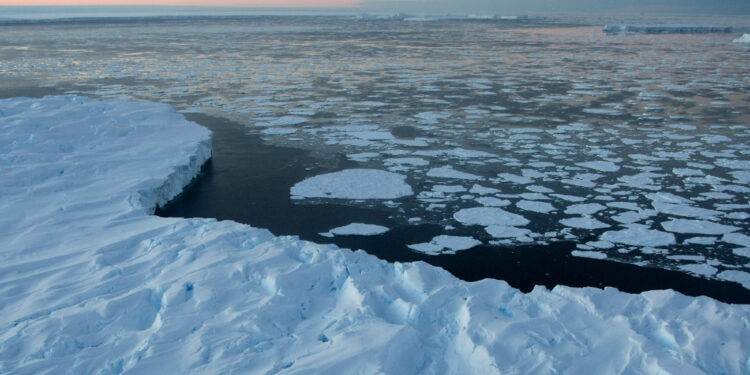 Debido al cambio climático: Preocupación genera deshielo en Antártica