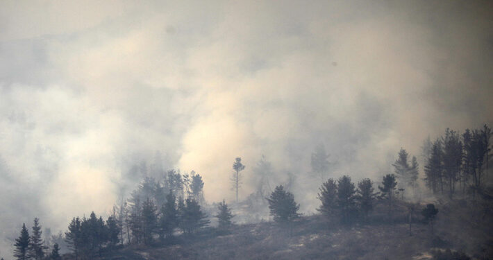 Sernapred informa que existen 13 incendios forestales activos en el país