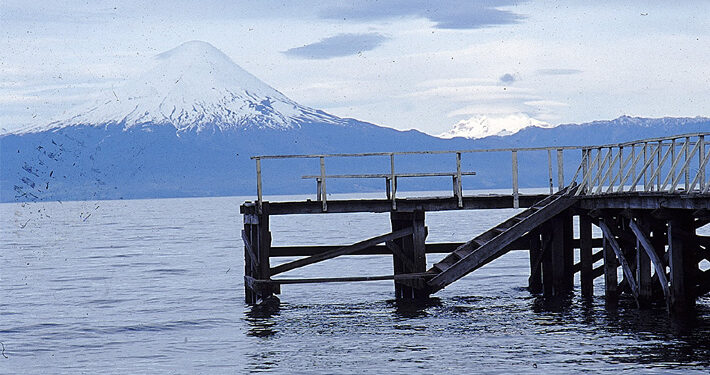 Autoridades alertan altos niveles de toxicidad en el lago Villarrica