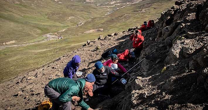 Científicos encuentran cuatro tipos de dinosaurios en la zona austral de Chile