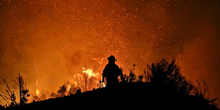 Alcalde solicitó declarar zona de catástrofe en Paillaco por incendio forestal