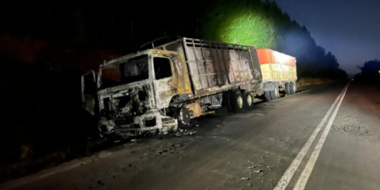 Desconocidos queman camión cargado de trigo cerca de Los Sauces