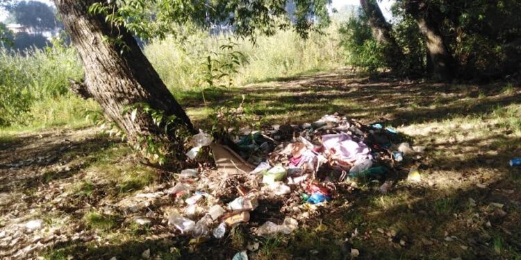 Osorno: concejal denunció aumento de micro basurales en parque bellavista