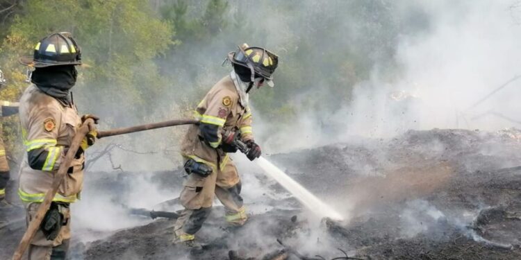 Expertos italianos viajarán a Chile para investigar origen de incendios