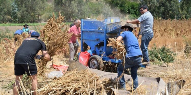 Prohíben quemas agrícolas hasta fines de marzo para evitar incendios forestales&nbsp;