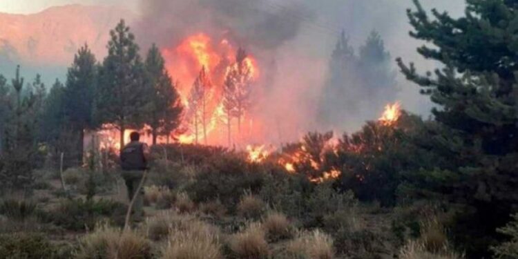 Cancelan Alerta Amarilla por incendios forestales en provincia de Osorno