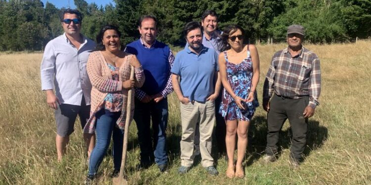 Agricultores de Puerto Octay confeccionarán espumante en la comuna