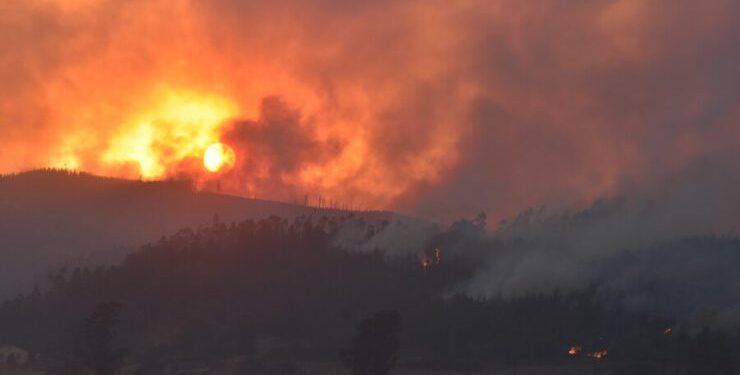Gobierno confirmó 28 detenidos por incendios