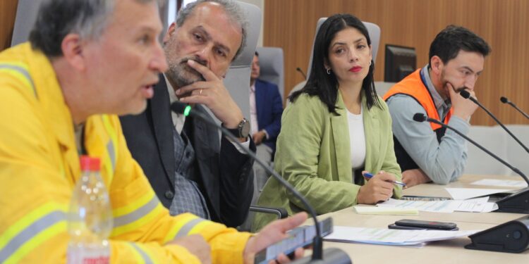 COGRID Los Lagos: 9 incendios forestales se registraron este fin de semana 