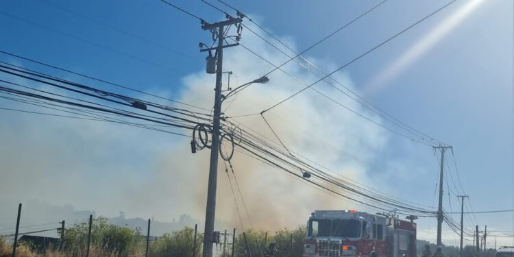 Osorno: Bomberos trabajó en fuego en pastizales en sector Pilauco