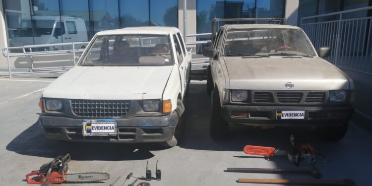 Detienen a 4 personas por sustracción de madera en San Juan de la Costa