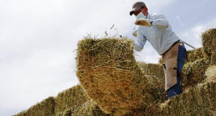 Purranque inició campaña para reunir agua y forraje y enviar a Quillón