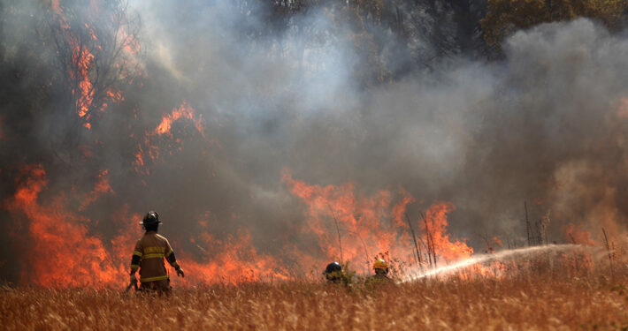 Declaran alerta roja en Valdivia y Corral por incendio forestal que amenaza viviendas